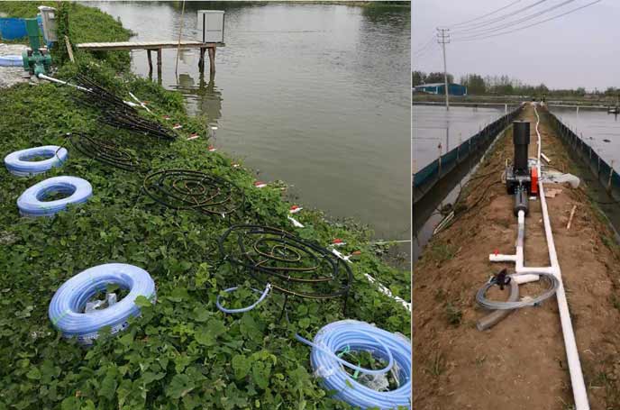 水產養殖羅茨風機